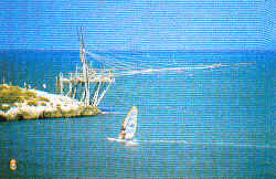 wpe20762.gif (35753 Byte)