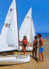 wpe38425.gif (33473 Byte)