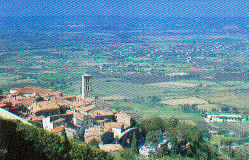 wpe84310.gif (40413 Byte)