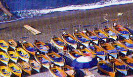 wpe03723.gif (38967 Byte)