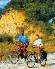 wpe22200.gif (43221 Byte)