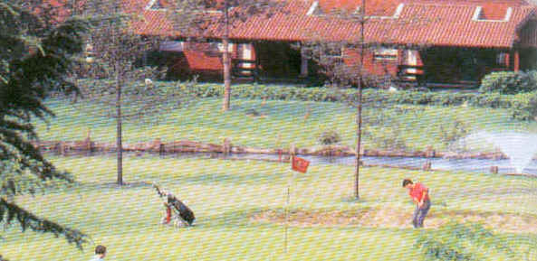 wpe1.jpg (34700 Byte)