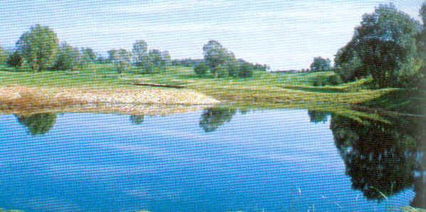 wpe1.jpg (32773 Byte)