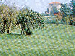 wpeB.jpg (11910 Byte)