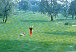 wpeE.jpg (10507 Byte)