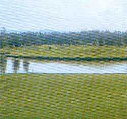 wpe58.jpg (10207 Byte)