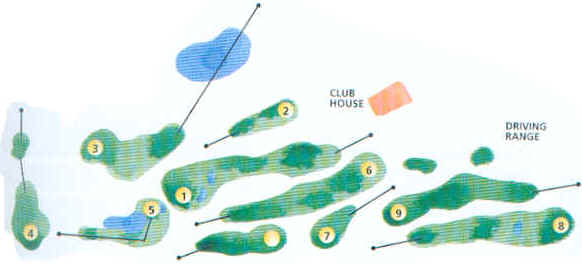 wpeF2.jpg (16280 Byte)