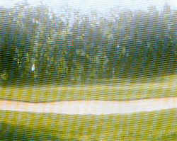 wpe59.jpg (9639 Byte)