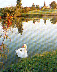 wpe13A.jpg (15596 Byte)