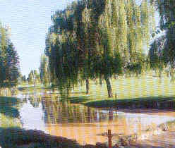 wpeE.jpg (11120 Byte)