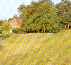 wpe66.jpg (12707 Byte)