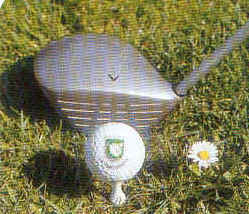 wpe10.jpg (13330 Byte)