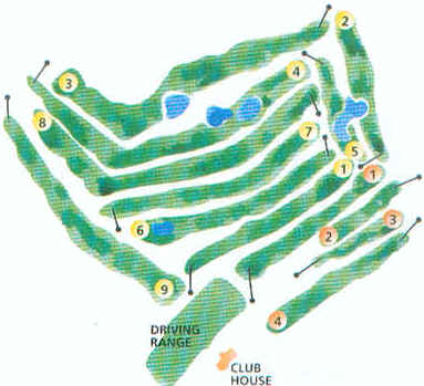 wpe14A.jpg (20838 Byte)