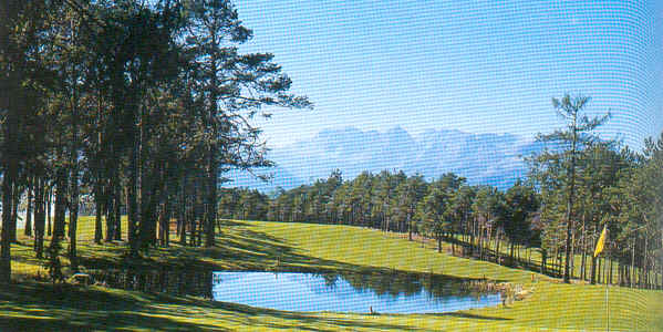 wpe149.jpg (37131 Byte)