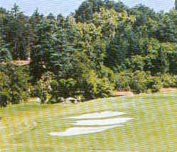 wpeC.jpg (13185 Byte)