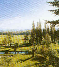 wpeB.jpg (15191 Byte)