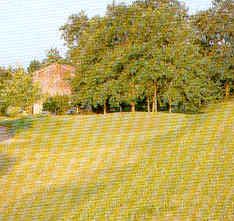 wpe6.jpg (11785 Byte)