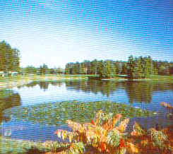 wpe34.jpg (12413 Byte)