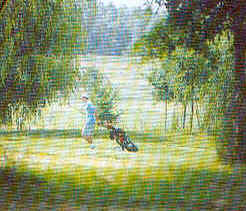 wpe7.jpg (10335 Byte)