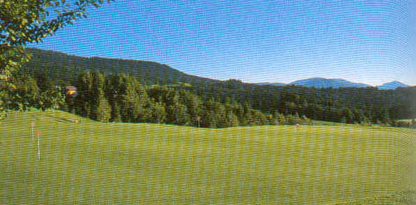 wpe140.jpg (36524 Byte)