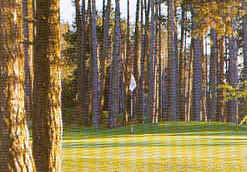 wpe143.jpg (11657 Byte)