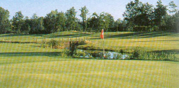 wpe29.jpg (34636 Byte)