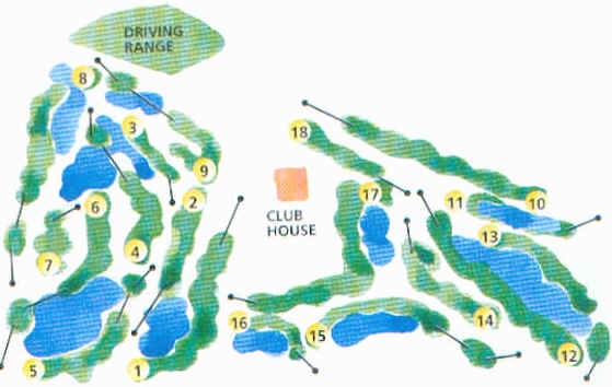 wpe1.jpg (29697 Byte)