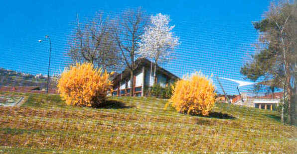 wpe1.jpg (38160 Byte)