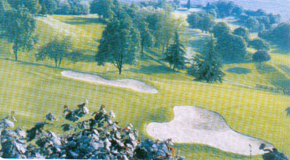 wpe17.jpg (40649 Byte)