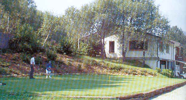 wpe12.jpg (39684 Byte)