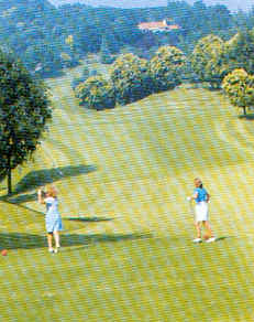 wpe19.jpg (16136 Byte)