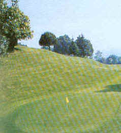 wpe1A.jpg (11166 Byte)