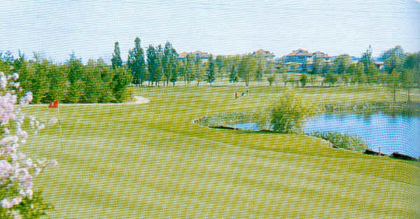 wpeEC.jpg (35168 Byte)