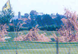 wpeEF.jpg (9371 Byte)