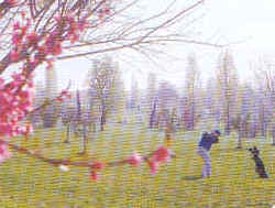 wpe100.jpg (9379 Byte)