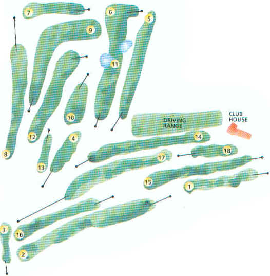 wpeFF.jpg (34320 Byte)