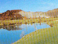 wpe16.jpg (10291 Byte)