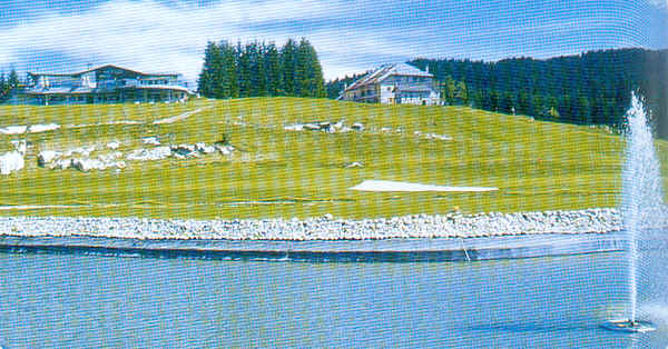 wpe17.jpg (41158 Byte)