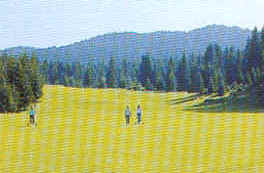 wpe21.jpg (7685 Byte)