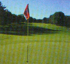 wpe31.jpg (13207 Byte)