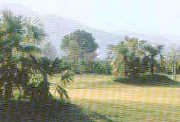 wpe101.jpg (8046 Byte)