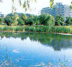 wpe100.jpg (13927 Byte)