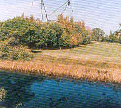 wpe126.jpg (12298 Byte)