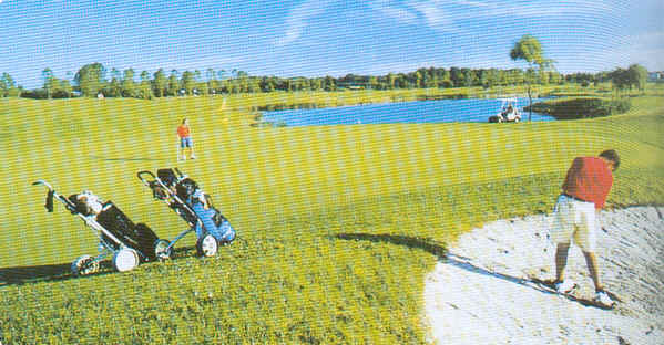 wpe12A.jpg (36323 Byte)