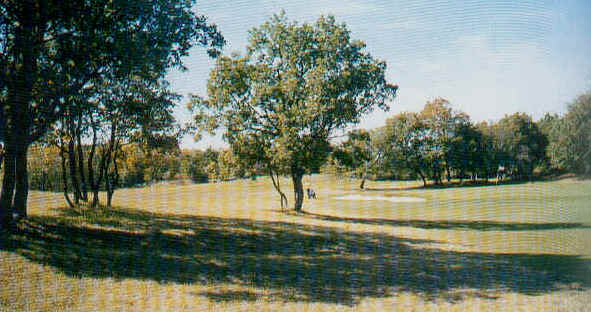 wpe3F.jpg (37969 Byte)