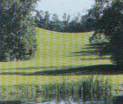 wpeC.jpg (10864 Byte)