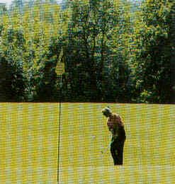 wpeD.jpg (14665 Byte)