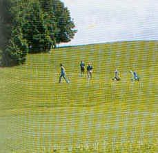 wpe16.jpg (10946 Byte)