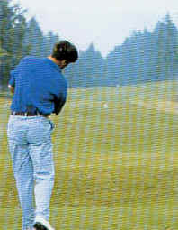 wpe13.jpg (8694 Byte)