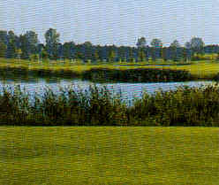 wpe26.jpg (9983 Byte)